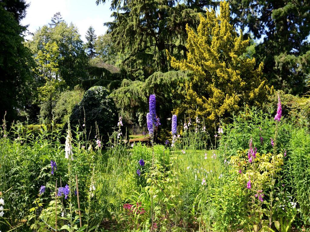 Powis House B&B Stirling Extérieur photo